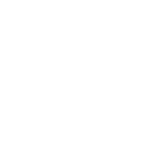 الرئيسية